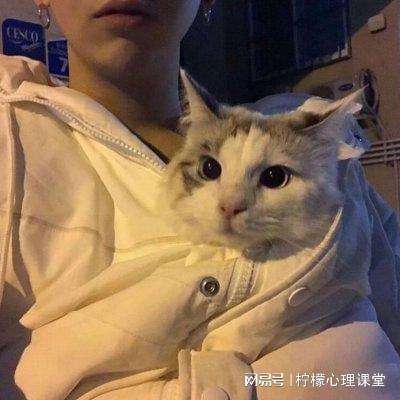 千年大计 拔节生长